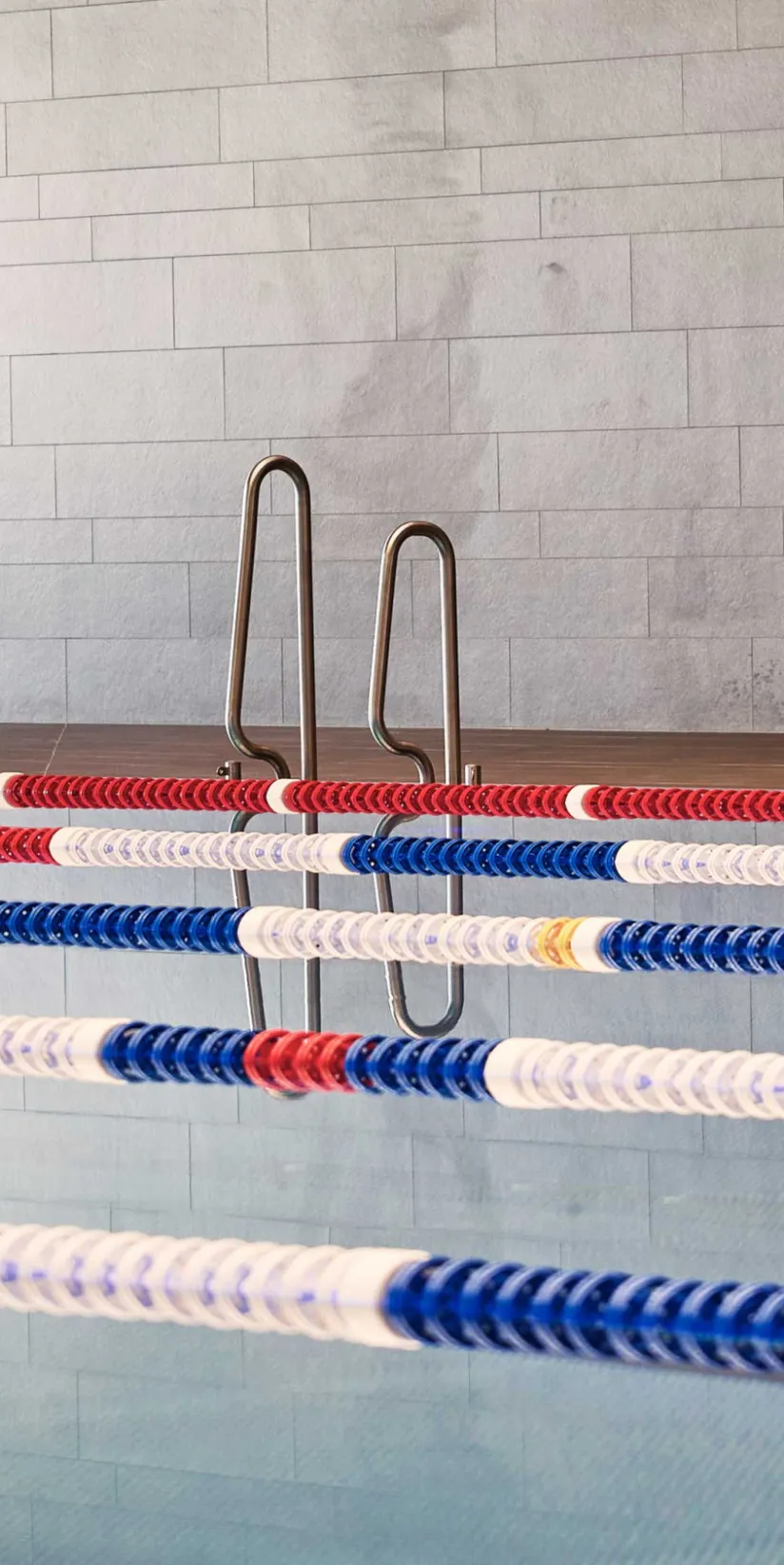 Das Schwimmbecken mit klar abgegrenzten Bahnen