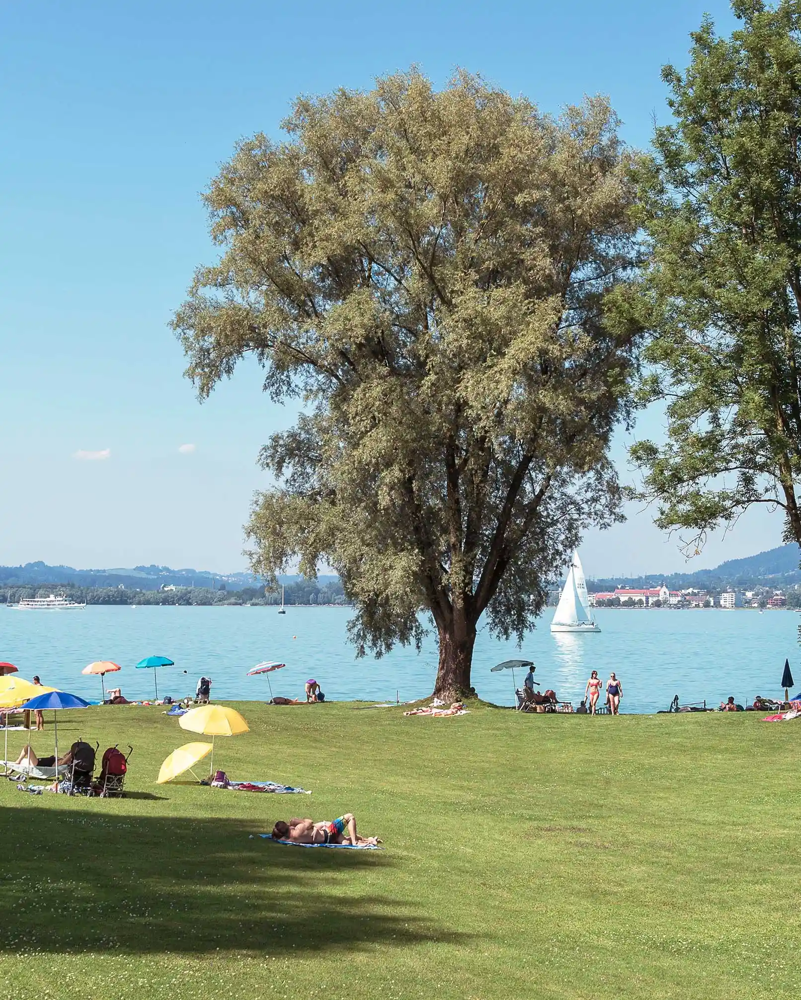 Menschen liegen im Strandbad auf Liegewiese mit Blick auf den Bodensee